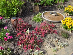 Im Garten