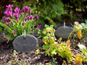 Im Garten